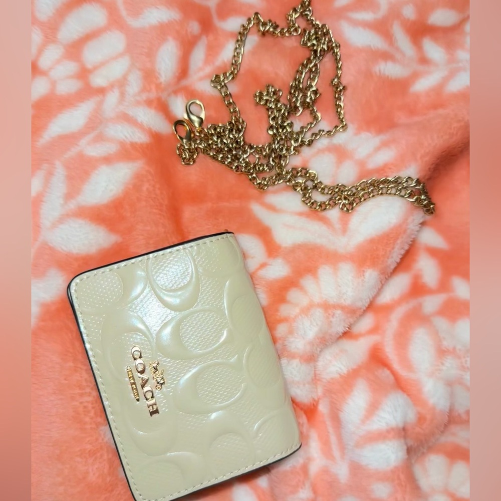Coach wallet on a chain